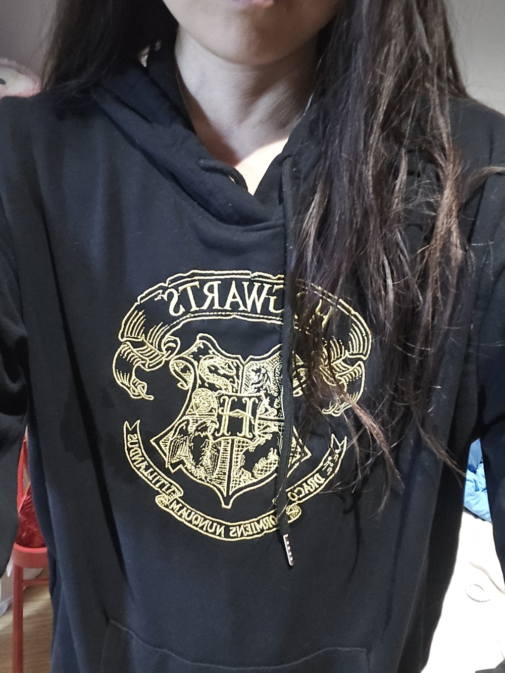 Black Hoodie Sweater with Gold Crest Graphic